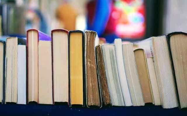 Co to literatura obyczajowa? Definicja, przykłady i różnice od innych gatunków