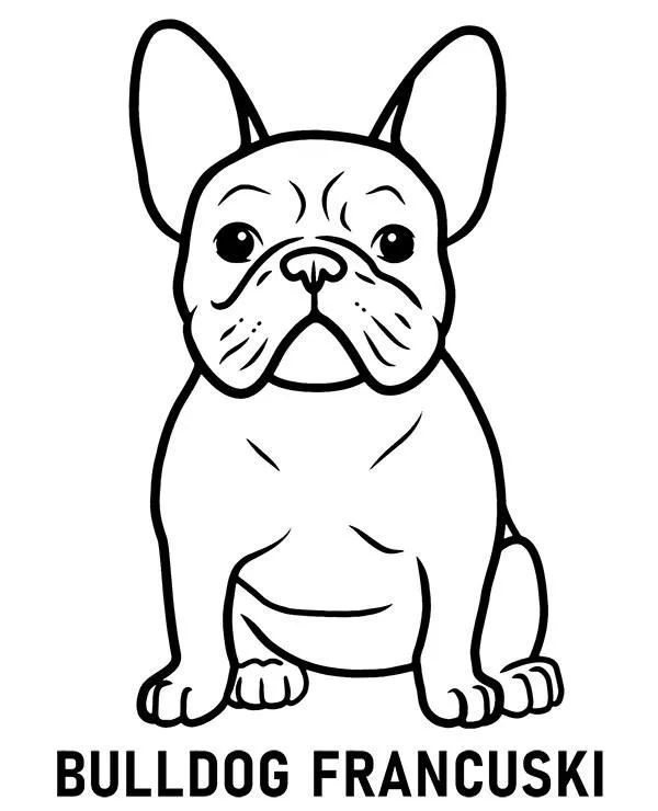 Buldog francuski kolorowanka – darmowe wzory do druku i korzyści z kolorowania